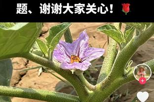 第三节延续状态！库里第三节单节再砍13分！